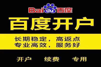 专业竞价SEM托管成功案例解析